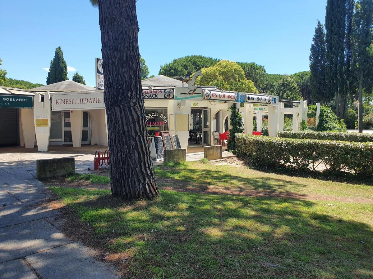 Grande Villa Independante Proche Plage Et Commerces Grande Motte La Grande Motte Exterior photo